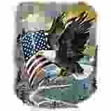 American Pride t-shirt