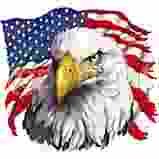 Eagle With Tear t-shirt