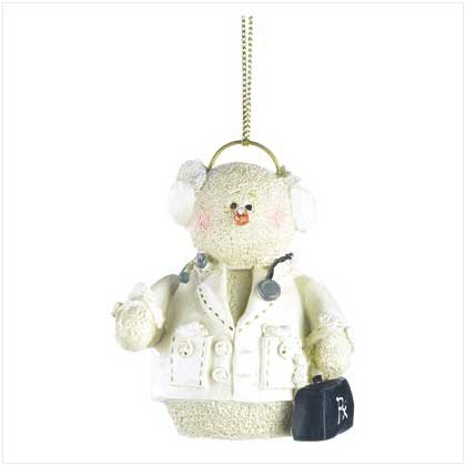 #38322 Snowberry Cuties Doctor