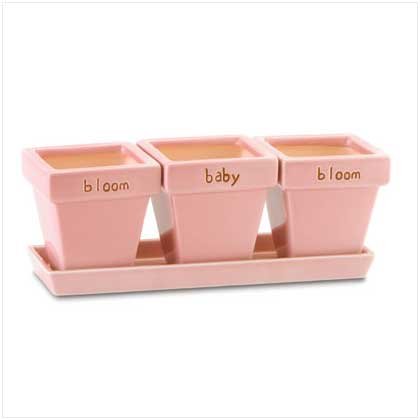 #37741 Bloom Baby Bloom Pots