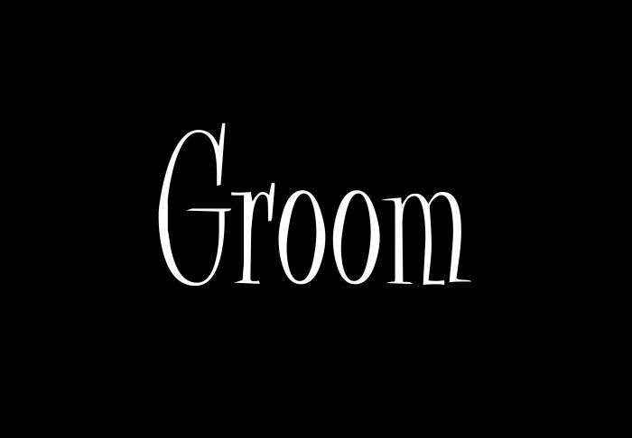 Groom - Style 2