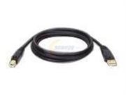 USB 10ft. Printer Cable