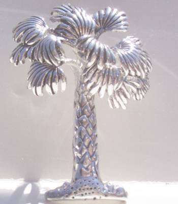 Palm Tree Slide