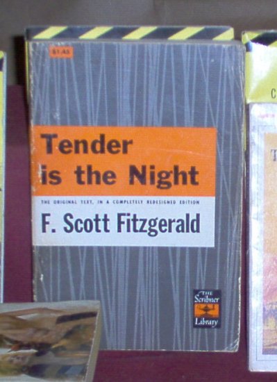 F. Scott Fitzgerald - Tender is the Night & Cliffs Notes