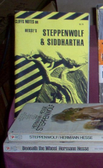 Herman Hesse - 2 books & Cliffs Notes