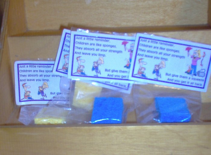 Children are Sponges Sweet Sentiment by The Village Craftsmith