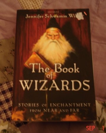 BOOK OF WIZARDS STORIES OF ENCHANTMENT BY JENNIFER SCHWAMM WILLIS