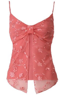 Coral Floral Embroidered Mesh Flyaway Camisole Top - Large