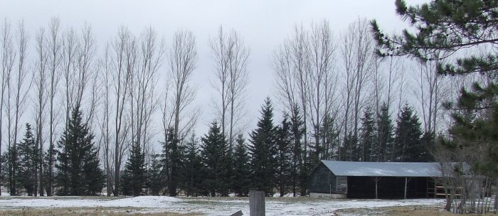 Ultimate Sportsman's Paradise, Must see, 80 acres NW MN.