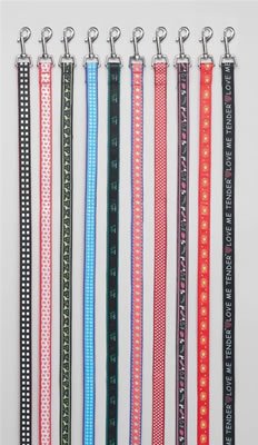 SPL10/00: Club Fun 10 pc Set of Assorted Stylish Pet Leashes - Each is 45" Long