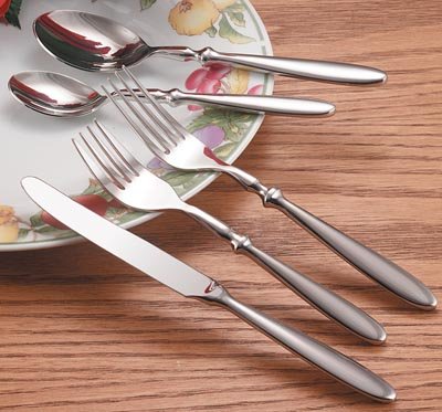 FW20/00: Nikita 20pc Heavy Duty Stainless Steel Flatware Set