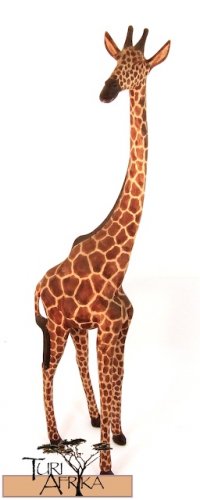 Product ID: 163 Wooden Giraffe Sculpture