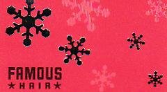Famous Hair Salon Collectible Gift Card - Silver Foil Snowflake SV0701488 - USED