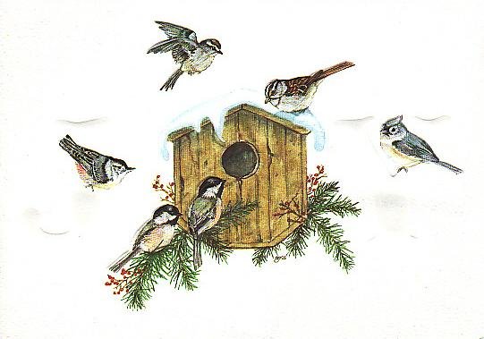 Christmas Card Promotional Print - JOY Backyard Birds H202