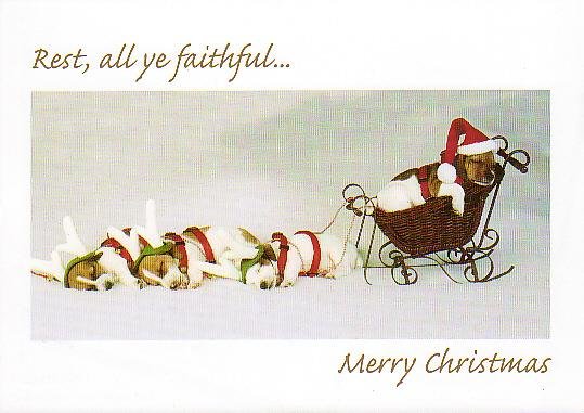 Christmas Card Promotional Print - Santa's Yelpers H201