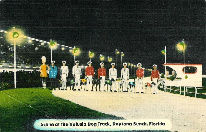 Daytona Beach Volusia Dog Track