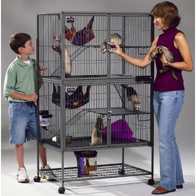 Ferret Nation Habitat Model 142
