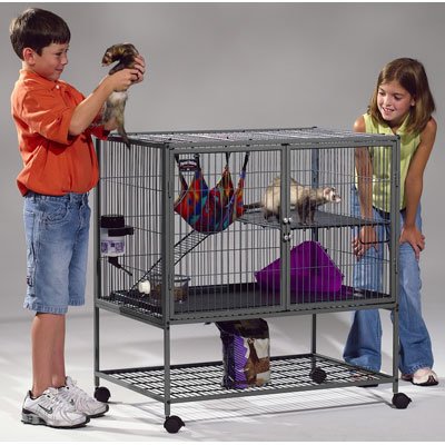 Ferret Nation Habitat Model 141