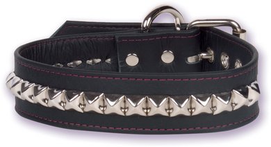 Buckle Collar studded