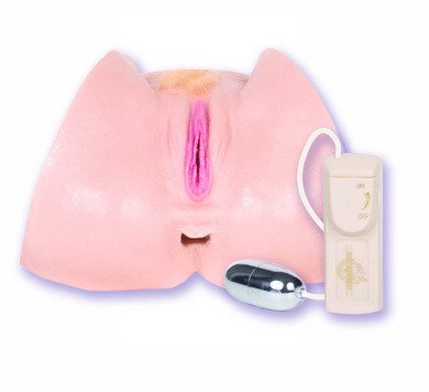 Nikki Tyler ultra realistic vagina