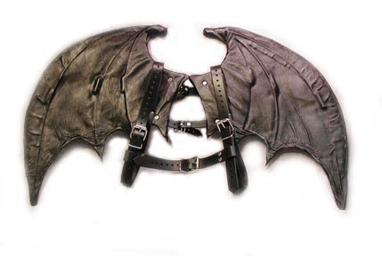 Leather bat wings