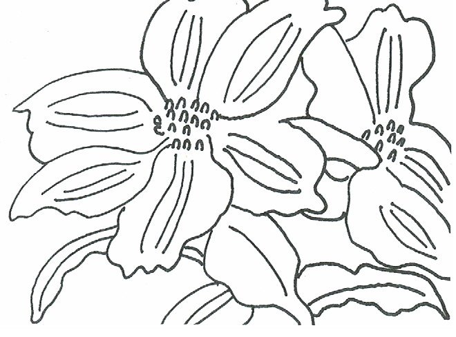 More flowers