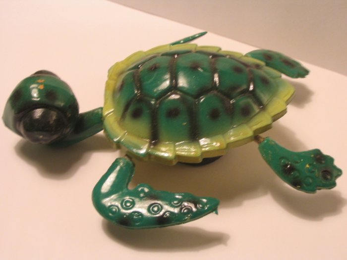 Turtle