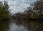 River in the Ozarks