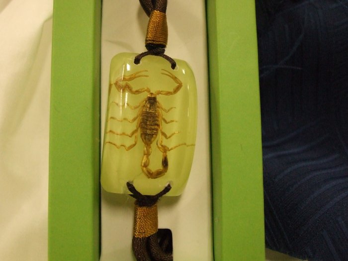 Scorpion Bracelet-- Glows In The Dark!!!