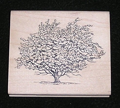Rubber Stamp Mounted On Wood Apple Tree By Inkadinkado 96487P