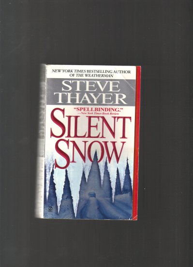 SILENT SNOW BY STEVE THAYER