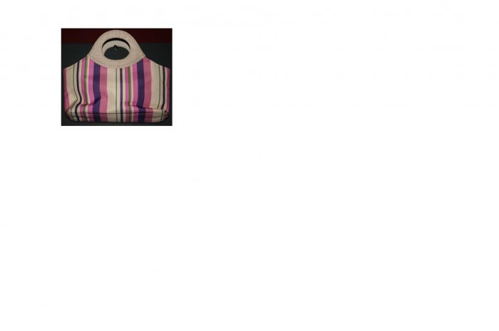 PURPLE STRIPED PURSE
