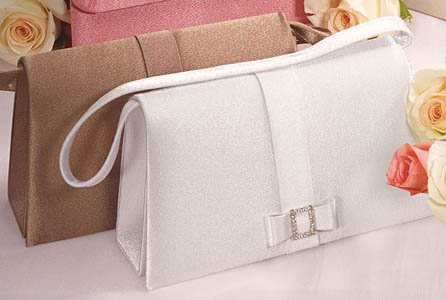 Crystal Buckle & Bow Evening Bag