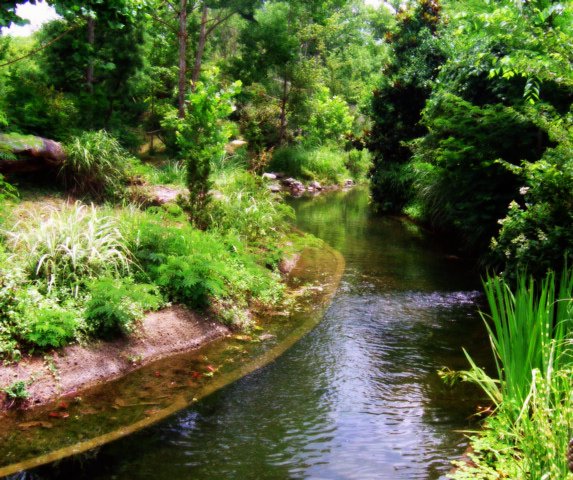 Peaceful Waters