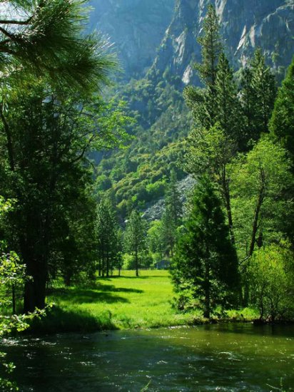 Beautiful Landscape