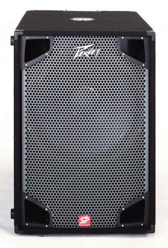 Peavey SP-118- speakers
