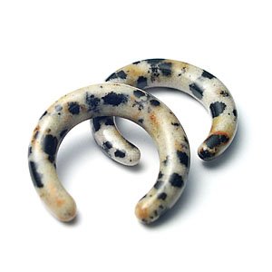 Stone pincher-Jasper Delmation