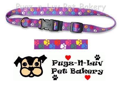 Pet Attire Fashion Dog Collar Colored Paws 5/8" Nylon