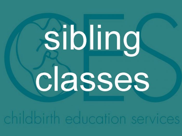 Sibling Class: 5/8/08 - Click on Text for Description