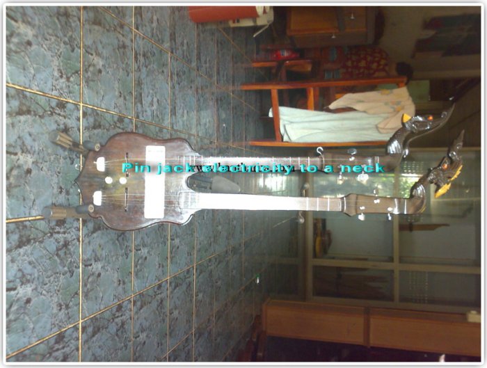electric harp second hosel bear