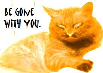 email-art BE GONE WITH YOU funny humor cat cats digital art