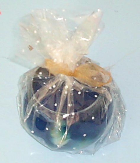Candle with Shells and Gel