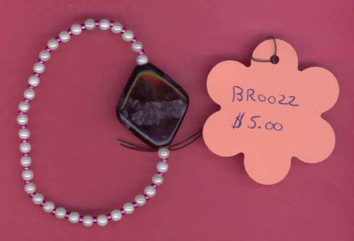 BR0022