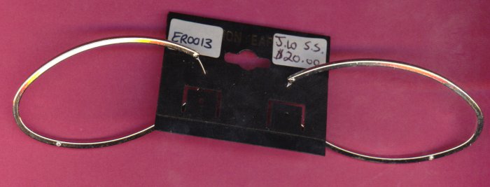 ER0013