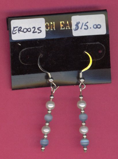 ER0025