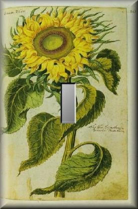 Vintage Botanical Illustration Sunflower Single Switch Plate