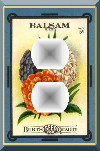 Vintage Balsam Flower Seed Packet Outlet Cover