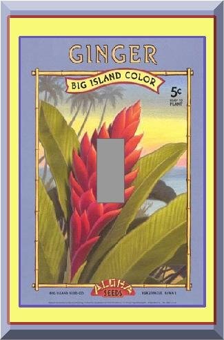 Vintage Tropical Ginger Flower Seed Packet Single Switch Plate