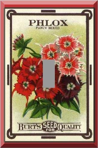 Vintage Phlox Flower Seed Packet Single Switch Plate