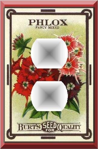 Vintage Phlox Flower Seed Packet Outlet Cover